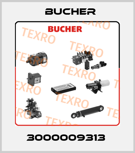 3000009313  Bucher