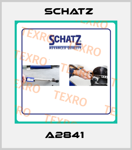 A2841  Schatz