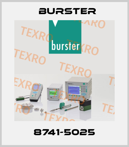 8741-5025 Burster