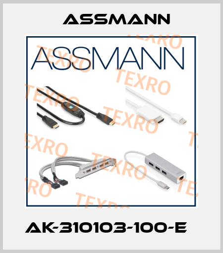  AK-310103-100-E   Assmann