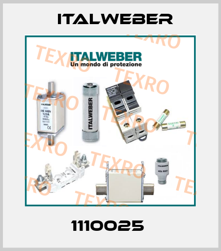 1110025  Italweber