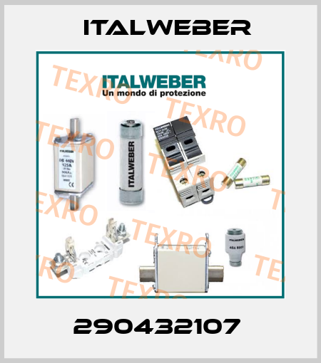 290432107  Italweber