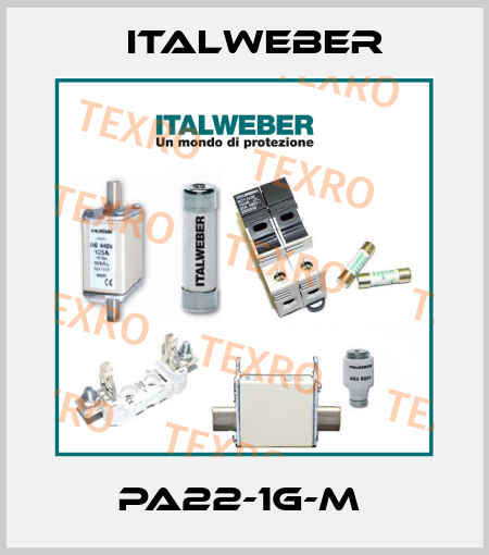 PA22-1G-M  Italweber