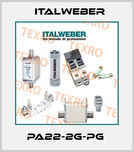 PA22-2G-PG  Italweber