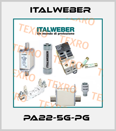 PA22-5G-PG  Italweber