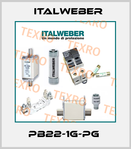 PB22-1G-PG  Italweber