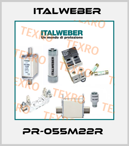 PR-055M22R  Italweber