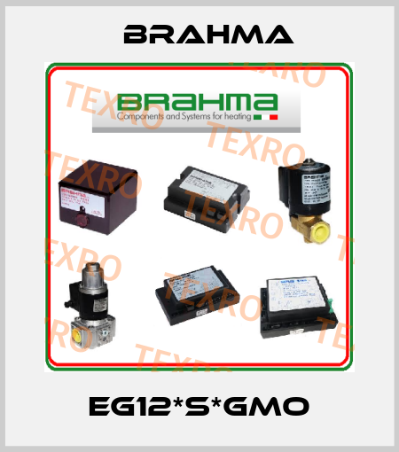 EG12*S*GMO Brahma