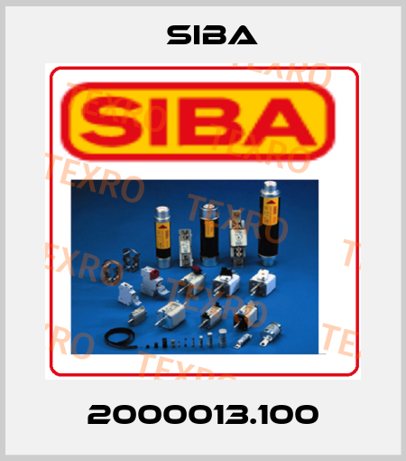 2000013.100 Siba