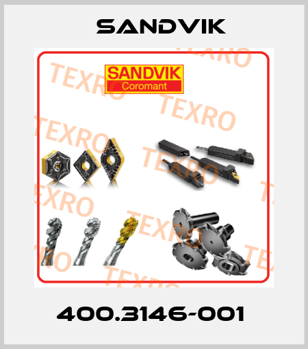 400.3146-001  Sandvik