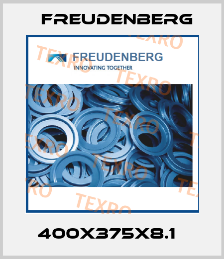 400X375X8.1   Freudenberg