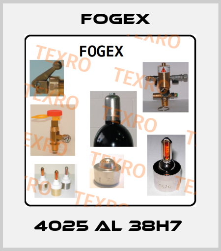 4025 AL 38H7  Fogex