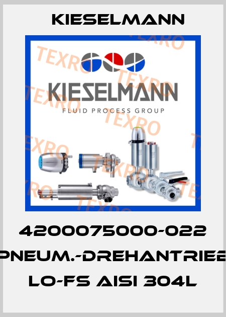 4200075000-022 PNEUM.-DREHANTRIEB LO-FS AISI 304L Kieselmann