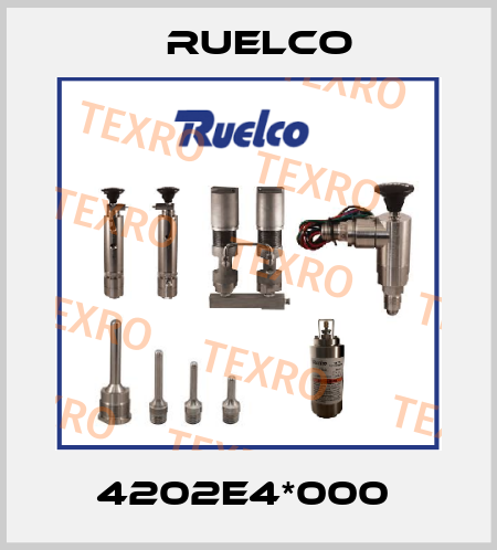 4202E4*000  Ruelco