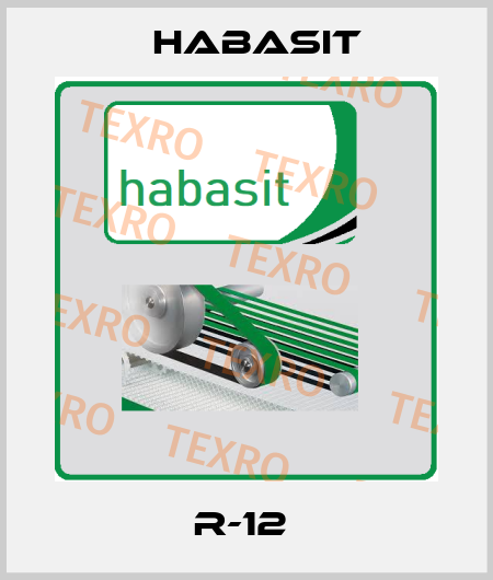 R-12  Habasit