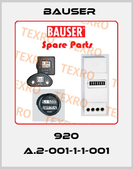 920 A.2-001-1-1-001 Bauser