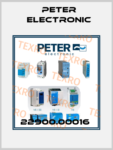 22900.00016  Peter Electronic