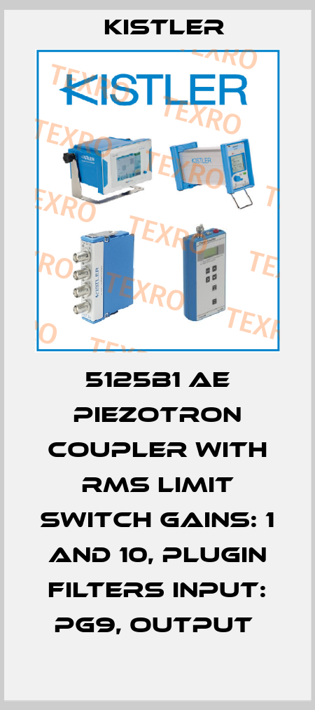 5125B1 AE PIEZOTRON COUPLER WITH RMS LIMIT SWITCH GAINS: 1 AND 10, PLUGIN FILTERS INPUT: PG9, OUTPUT  Kistler