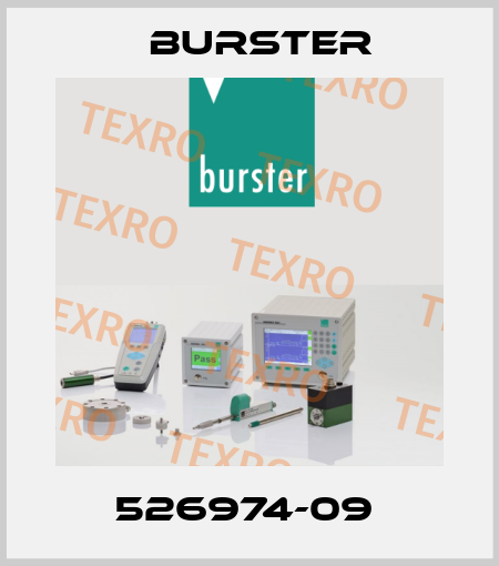 526974-09  Burster
