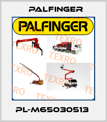 PL-M65030513  Palfinger