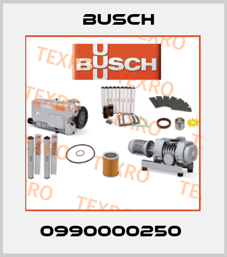 0990000250  Busch