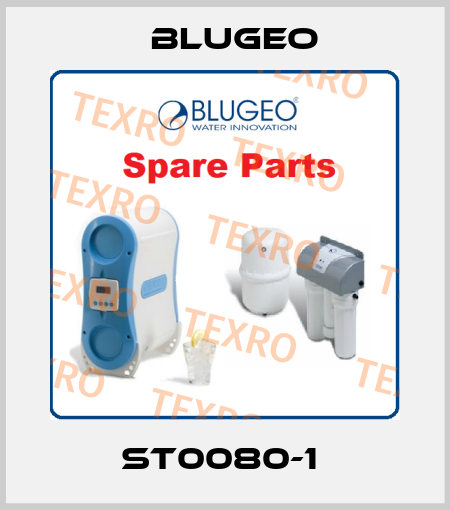 ST0080-1  Blugeo