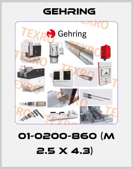 01-0200-860 (M 2.5 x 4.3)  Gehring