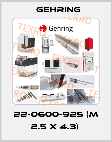 22-0600-925 (M 2.5 x 4.3)  Gehring