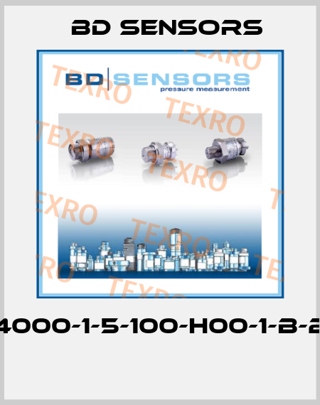 250-4000-1-5-100-H00-1-B-2-000  Bd Sensors