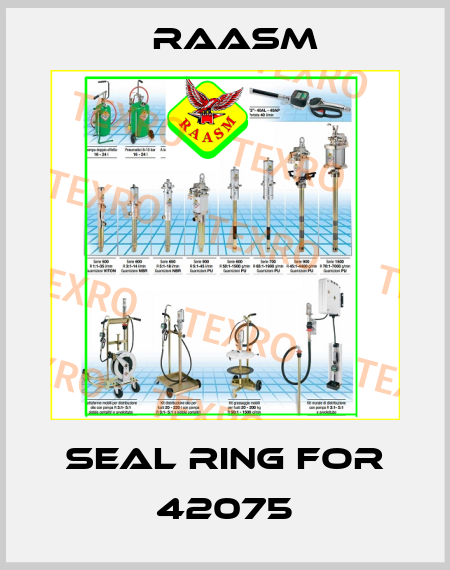 Seal ring for 42075 Raasm