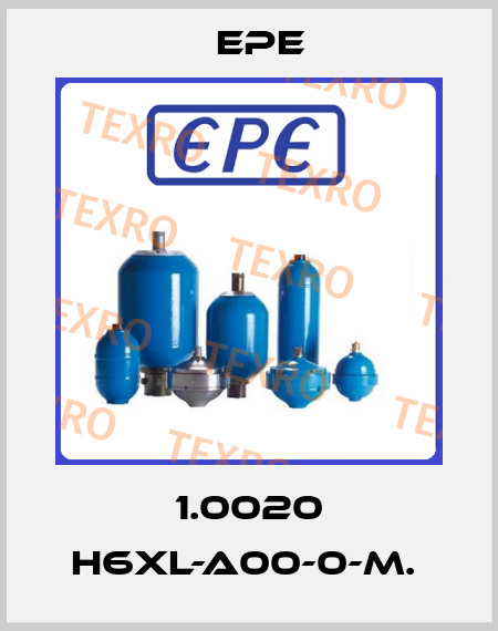 1.0020 H6XL-A00-0-M.  Epe