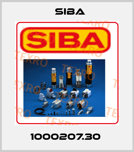 1000207.30  Siba