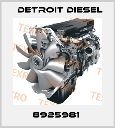 8925981  Detroit Diesel