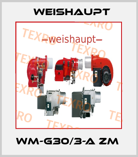 WM-G30/3-A ZM  Weishaupt