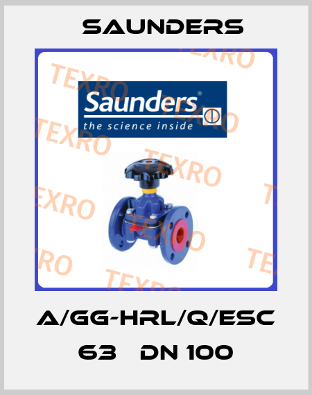 A/GG-HRL/Q/ESC 63   DN 100 Saunders
