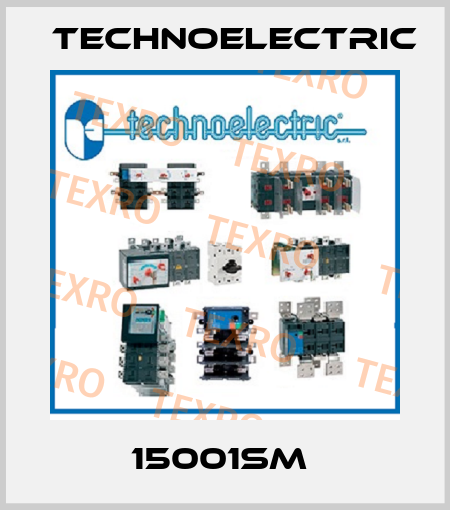 15001SM  Technoelectric