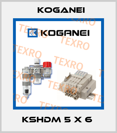 KSHDM 5 X 6  Koganei