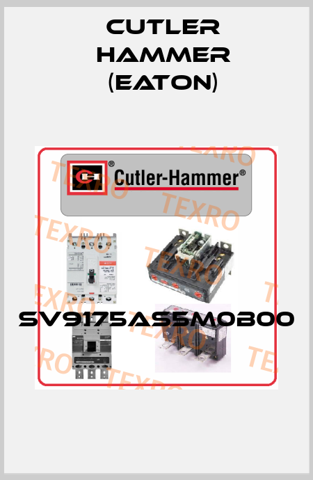 SV9175AS5M0B00  Cutler Hammer (Eaton)