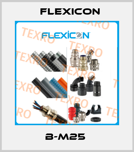 B-M25  Flexicon