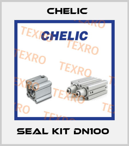 Seal Kit DN100  Chelic