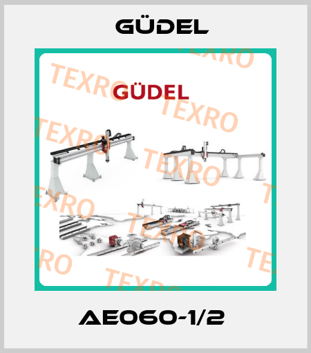 AE060-1/2  Güdel