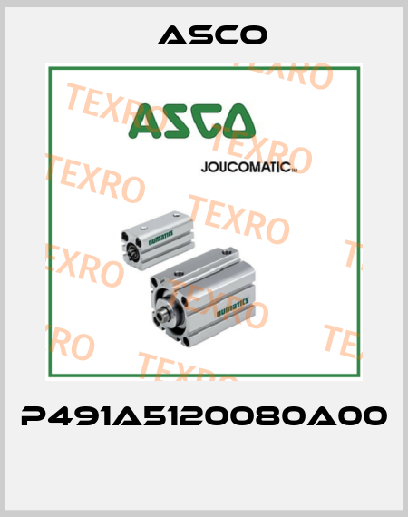 P491A5120080A00  Asco