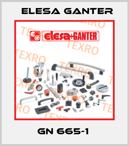 GN 665-1  Elesa Ganter