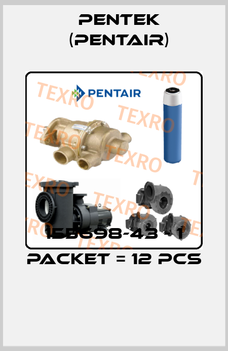 155698-43 - 1 packet = 12 pcs  Pentek (Pentair)
