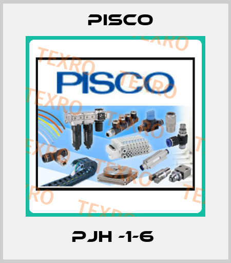 PJH -1-6  Pisco