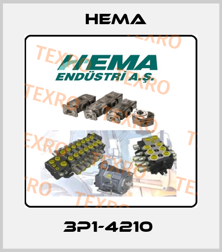 3P1-4210  Hema