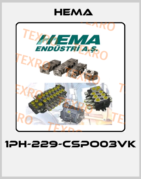 1PH-229-CSPO03VK  Hema