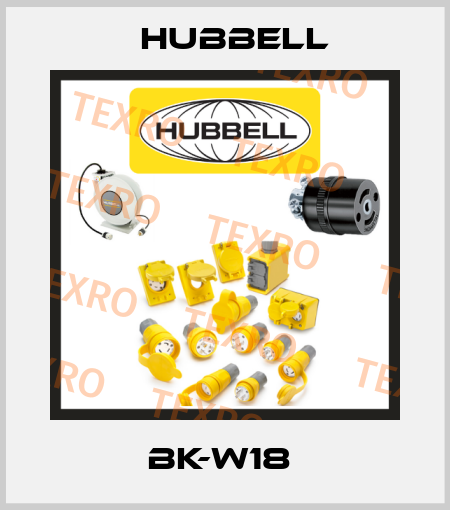 BK-W18  Hubbell