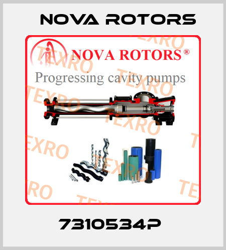 7310534P  Nova Rotors