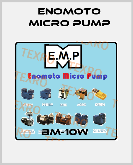 BM-10W  Enomoto Micro Pump
